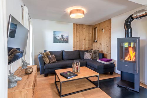 Ferienwohnung Hochsitz | Couch-Ecke mit Kamin und Fernseher